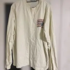 VISION STREET WEAR 恐竜グラフィック トレーナーM