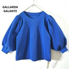 新品 GALLARDAGALANTE パフス リブ ニット SIZE Fのサムネイル