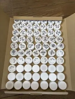 Item thumbnail for item 61cde62a-48e1-406e-a248-a90e8301d2cc