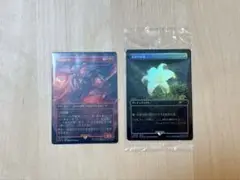2025年最新】金粉の睡蓮 foilの人気アイテム - メルカリ