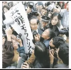 無罪モラトリアム 初回限定 Amazon.co.jp: 椎名林檎 初回生産限定盤2LP 無罪モラトリアム