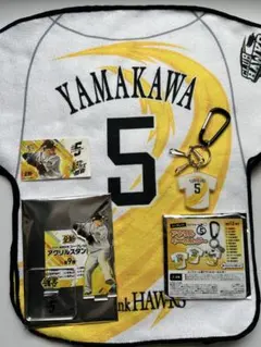 Item thumbnail for item 77e1cd0a-3ef8-4c9f-bbe1-02630e835140