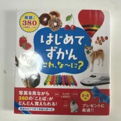 はじめてずかん これ、な～に? : 英語つき380の写真とことば
