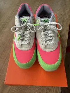 Nike Air Max 1 Golf NRG 23cm 美品 希少カラー