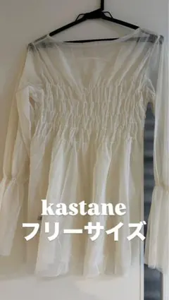 kastane シアー長袖ブラウス フリーサイズ