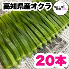 【高知県産オクラ】A品＆B品　20本　新鮮おくら産地直送　野菜　Mkhのサムネイル