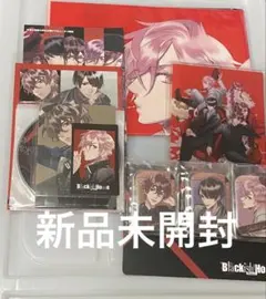 ブラキッシュハウス　アクリルスタンド Blackish House ←sideZ -Retour- 等身アクリルスタンド | はにー