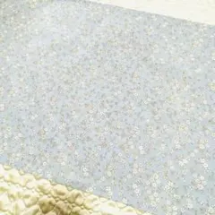 Item thumbnail for item ed76085a-c903-4592-a923-7007c85fff12