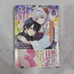 【新品】龍の贄嫁～虐げられた少女は運命の番として愛される～ 2巻