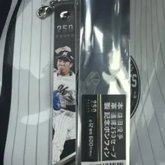 益田直也 通算250S記念ボンフィン