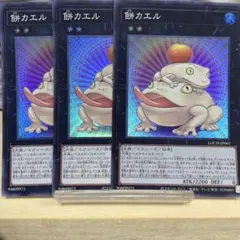 1141 餅カエル 3枚セット