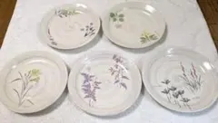 たち吉二葉堂 橘 花のケーキ皿　5枚セット