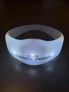 Item thumbnail for item 7745b1a2-1b91-4c93-9300-80743d4f15ef