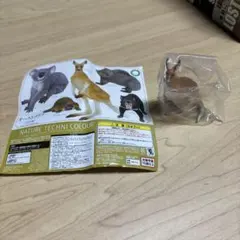 ネイチャーテクニカラー