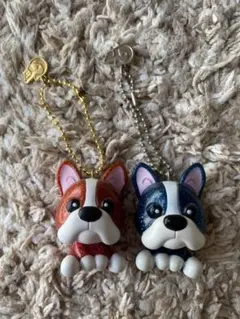 岩田剛典 メンプロ