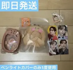 RIIZE SUNGCHAN ペンライトカバー ぬいぐるみキーホルダー - メルカリ