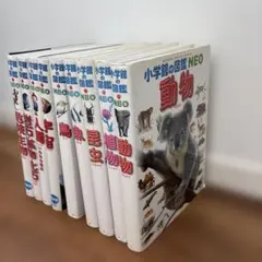 小学館の図鑑NEO プレNEO 学研の図鑑 まとめ売り 13冊セット - メルカリ