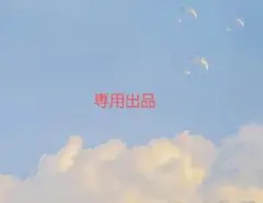 専用ページ