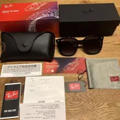 Ray-Ban YEAR OF THE SNAKE サングラス