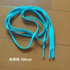 ミズノ ゼログライドシューレース 08 ブルー 100cm 新品未使用/当日発送のサムネイル