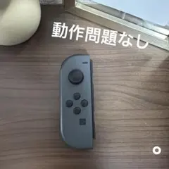 NintendoSwitch ジョイコン グレ L