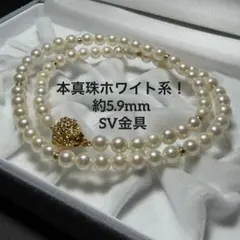 ギフト対応可 本真珠 パールネックレス SV金具 約5.9mm 上品デザイン