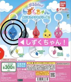 ぷるるんっ！しずくちゃん めじるしアクセサリー2 ガチャ 全5種