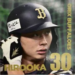 Item thumbnail for item b4f48950-1e47-4a8f-ba22-b69c018f09fc