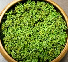 天然 花山椒 50g 採りたて 青森産 クール便 - メルカリ