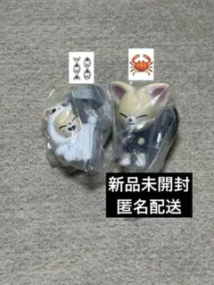 SKZOO つまんでつなげてますこっと★フォクシニー★Foxl.Ny★アイエン