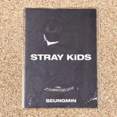 StrayKids IN生 プレオーダー 特典 ミニフォトブック スンミン