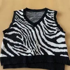 W♡C ゼブラ柄ニットベストのサムネイル