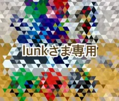 lunkさま専用まとめ売り