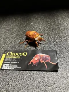 ChocoQ animatales セミ 幼虫フィギュア