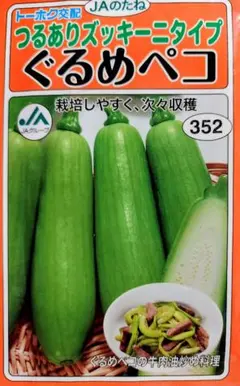 ⭐️ 덩굴이 있는 주키니 타입 ✳️ 둥근 페코 ✳️ 작은 씨앗 ✳️ 선택적 보너스 재배 방법 포함 ✳️
