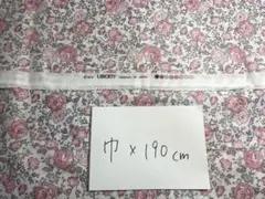 Item thumbnail for item 9a6a4121-df96-4be3-99c9-fbd2230928b8