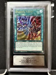 ARS鑑定品　EU版　烙印融合　レリーフ