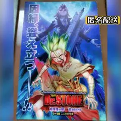 ドクスト 石神千空 ゼノ 原作イラスト ポスター アクスタ 缶バッジ