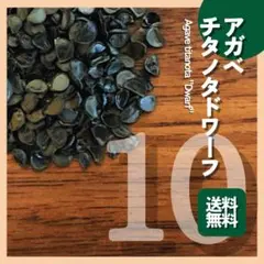 ちゅちゅちゃん様 リクエスト 2点 まとめ商品