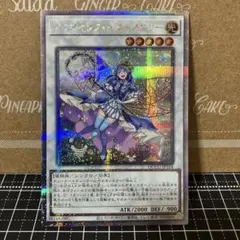 遊戯王　アロマセラフィーローズマリー　25thシークレットレア 1枚