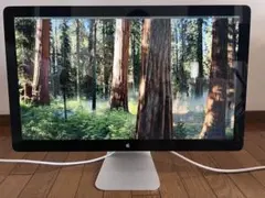 Apple LED Cinema Display 27インチ A1316
