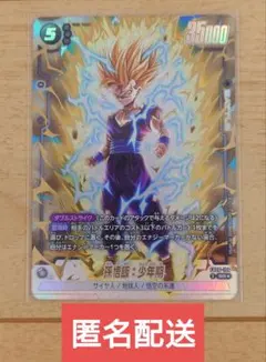 2026年最新】孫悟飯少年期 パラレルの人気アイテム - メルカリ