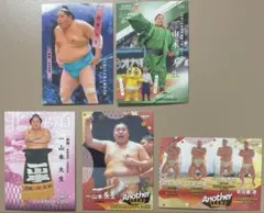 大相撲　平幕　一山本関　カードセット5枚