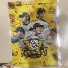 阪神タイガース　優勝記念クリアファイル　勝利導く鉄腕　村上 才木 下柳 井川