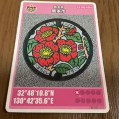 肥後椿盆‼️値下げ‼️45000円 日本花卉ガーデンセンターYahoo!店 - 肥後椿（ヒゴ椿）｜Yahoo