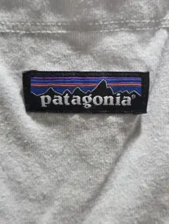 Patagonia　パタゴニア　半袖　Мサイズ　Tシャツ　アウトドア　古着