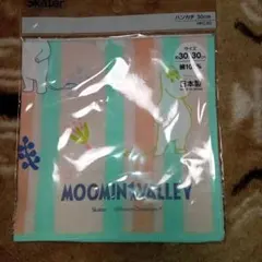 Item thumbnail for item 18c081fa-2851-4563-ba50-a218f06f34c6