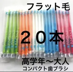歯科専用　コンパクト歯ブラシ　フラット毛　 Ci702 ふつう　２０本