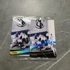 &TEAM ステッカー 青嵐