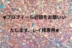 ✾レイ様専用✾